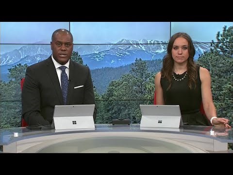 Cheyenne Mountain Zoo mourns loss of baby sloth