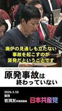 福島原発の廃炉は未だ「スタートライン」!? #日本共産党 #岩渕友 #原発 #安全神話