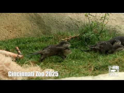 Cincinnati Zoo & Botanical Garden 2025