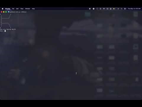 Python