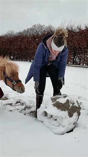 Ties in de sneeuw! #short #pptv