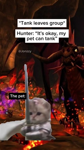 My Brave Little Soldier – World of Warcraft Meme
