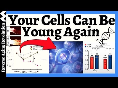 The Aging Breakthrough We've Been Waiting For?