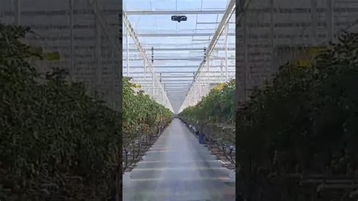 Fully automatic irrigation control by drones #CorvusDrones | U Gaat Bouwen BV