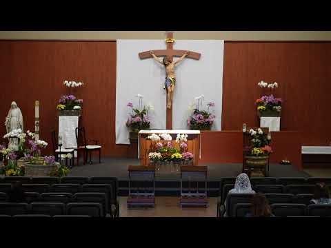 STM Livestream: 8AM Thursday Mass
