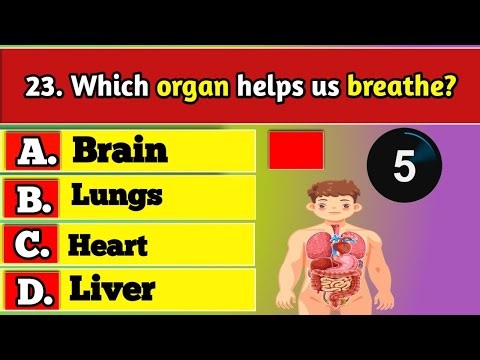 General Knowledge Trivia Quiz | Test Your Brain with Fun Questions & Ultimate Challenge Today!