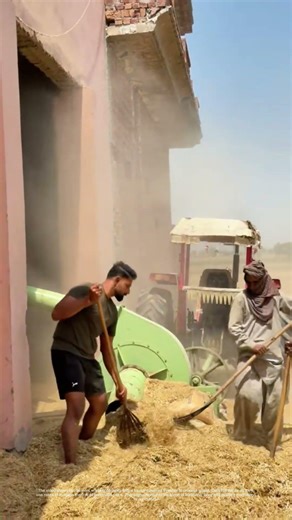 Harnessing the Machine: How Farmers Transform Grains with Modern Tools