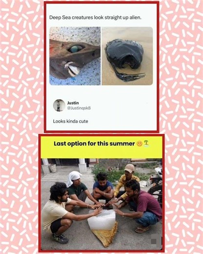 alien fish 😂 #funny #memes
