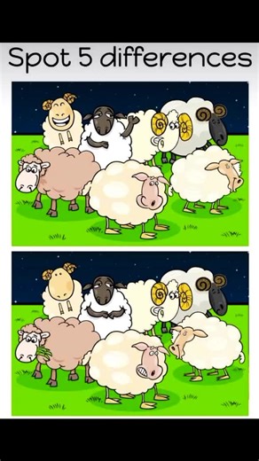 its_mystiqo on Instagram: "Find the 5 difference 99% people feal . . . #viralreels #reelsinstagram #trendingreels #explorepage #fyp"