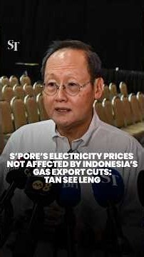 Tan See Leng says Singapore’s electricity prices won’t be affected by Indonesia cutting gas exports