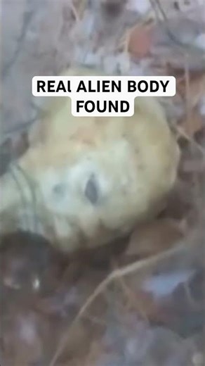 Dead Alien Body Found on the Ground 👁️