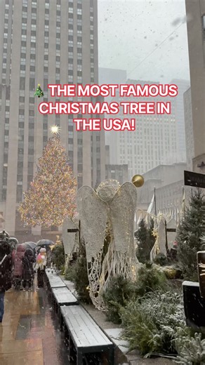 🎄✨ The Magic Rockefeller Center Christmas Tree in New York City! 🇺🇸 #nyc #newyork