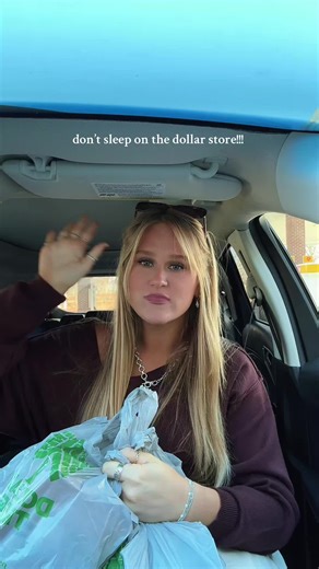 Dollar Tree Haul Highlights