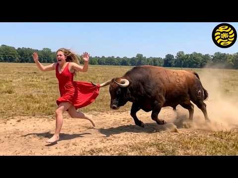 Most BRUTAL ANIMAL ATTACKS Caught on Camera - Best of Month #24