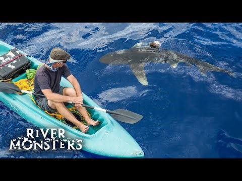 River Monsters Full Episode - Season 9, Episode 7 - Killers From The Abyss [Part 2]