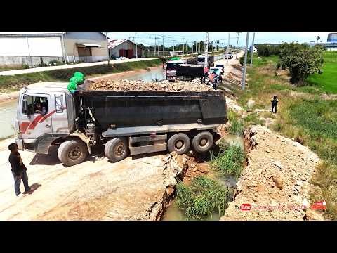 Powerful Start Land Reclamation! Skilled Dozer Moving Dirt & 25.5T Dump Trucks Transform Flood Land
