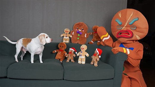 Dogs vs. Gingerbread man army prank