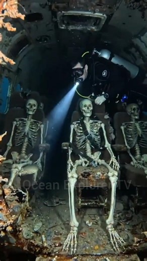 Exploring Deep Ocean Shipwrecks | Mystery Underwater Diving Adventure (4K)