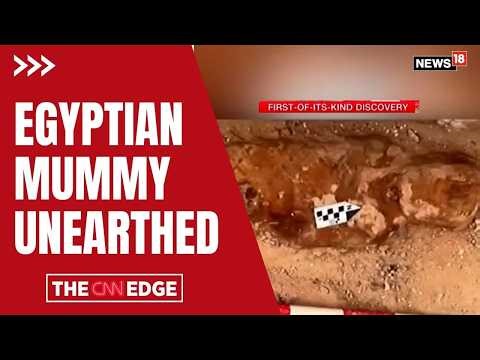 Iliad Found in Al-Bahnasa: Archaeologists Stunned by "First-of-its-Kind" Find | Egyptian Mummy N18G