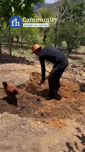 @casalwxnaroca builds a small homemade pond from start to finish, turning a simple outdoor space into something really fun! #pondbuild #backyardproject #diyoutdoors #gardenideas #familyhandyman | Family Handyman
