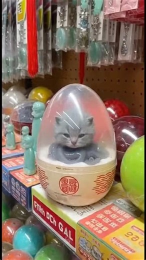 I Found This Egg in Chinatown and Everything Went Wrong #shorts #scary #prank