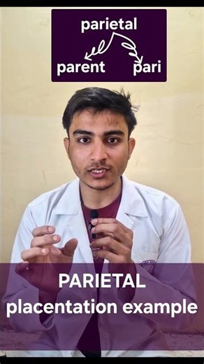 Parietal placentation | Trick | Morphology in flowering plant| #biology #neet #class11