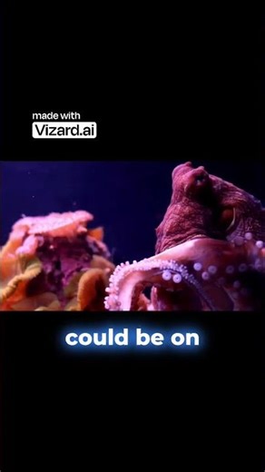 Are octopuses Earth's first true aliens? 🐙 #octopus #evolution #omg #science #intelligence #nature