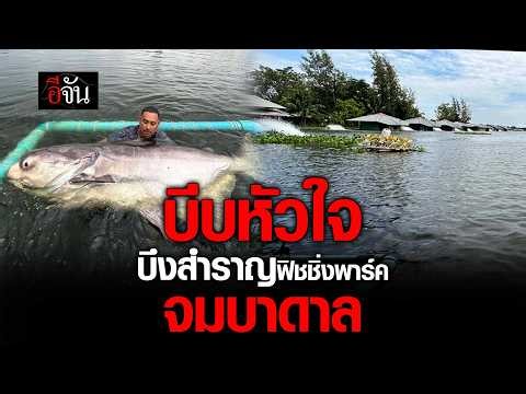 40 ปีที่ไม่เคยยอมแพ้ ชาวบึงสำราญ จมบาดาล | อีจัน EJAN