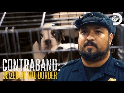Definitely Not Drugs | Contraband: Seized at the Border | Discovery