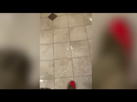 Chicago South Side home floods again — family demands city fix ongoing problem