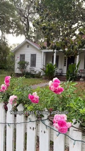 Cute houses cheer me right up.✨ I’m Kait 👋 I help local buyers and relocators make Gainesville home