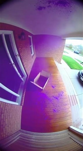 Porch Pirate Purple is my Favorite Color