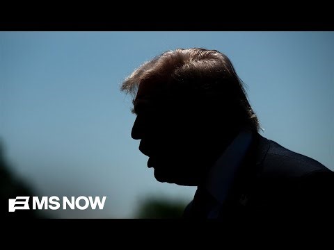 Detained family, taken from school bus stop, exposes the harsh reality of Trump's immigration policy