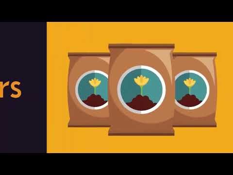 Grade 6 Science | Air – Uses of Air Explained | Importance & Examples for Students