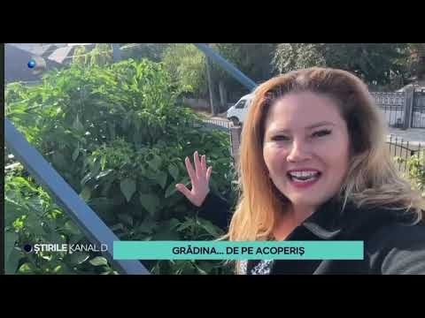 Roof garden @ @KanalDRomania