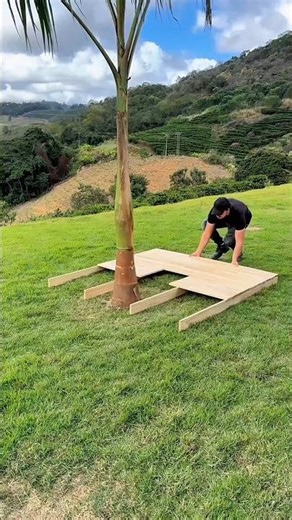 A Smart Way to Protect a Tree!