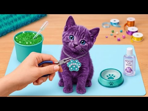 Meeting a Tiny Cat 🐱 DIY Collar & Cute Pet Care Hacks
