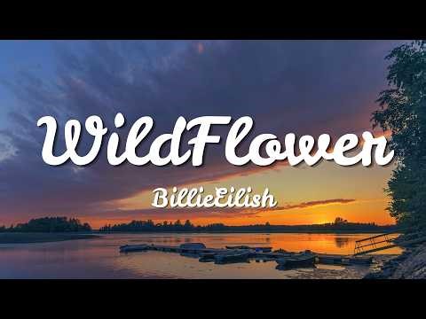 BillieEilish - WILDFLOWER (Lyrics) | Loop Video