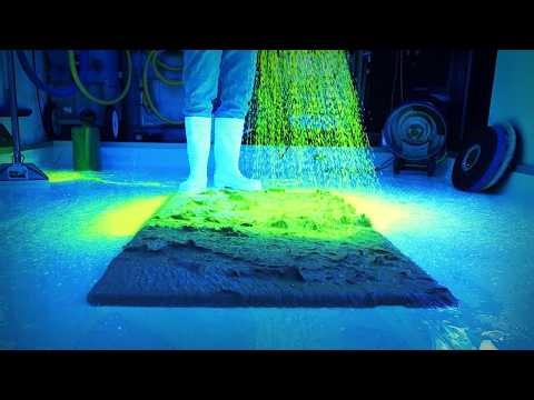 Everything Was Fine… Until It Turned Bright Green 😳 Satisfying ASMR Carpet Cleaning