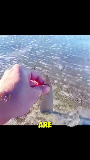 Why Walking Barefoot on the Beach Can Be Dangerous! 🏖️