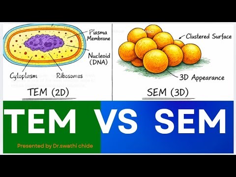 “How Electron Microscopes Work (TEM & SEM Breakdown)”