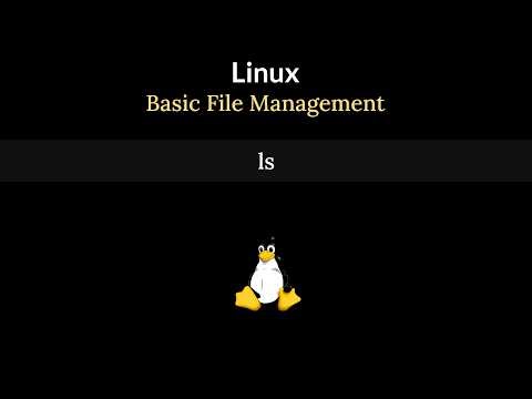 Linux ls Command Explained Simply