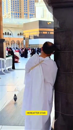 💕Abraham:Our Lord, send among them a messenger (Muhammadﷺ) from themselves who will recite to them💕