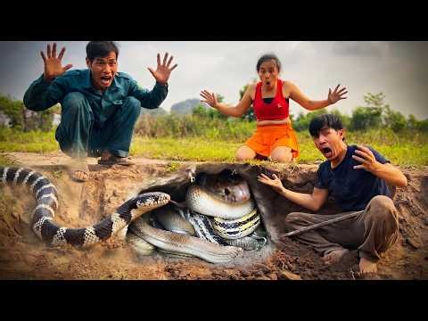 Brave Hunters Use Ancient Tools Catch 100 Fierce Snakes with Bare Hand