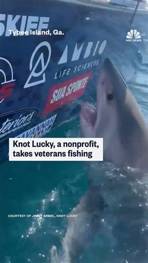 Great white shark lunges at veteran who tried to pet it