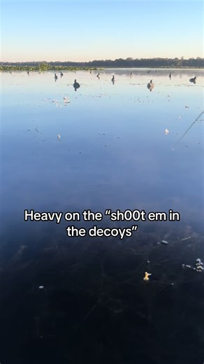 Essential Duck Hunting Tips for Waterfowl Enthusiasts