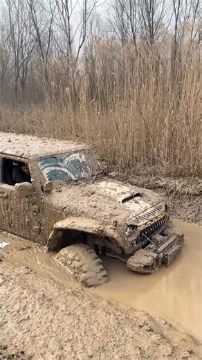 The car was thrown… but the queen came out on the steering wheel!
