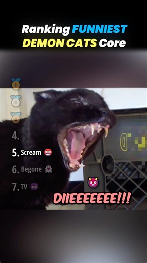 Ranking FUNNIEST DEMON CATS Core Moments!! 🐱👺