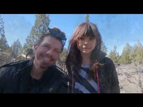 Do you like wolves? We do!