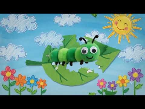 Life cycle of a Butterfly